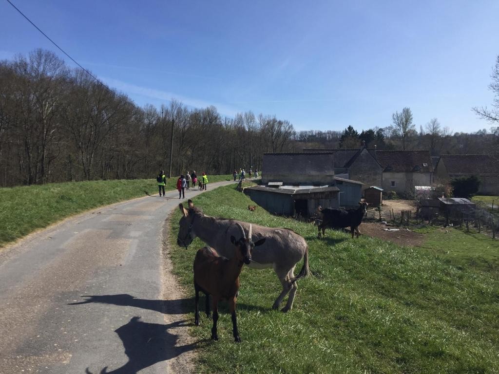 Villandry 23mars 1 